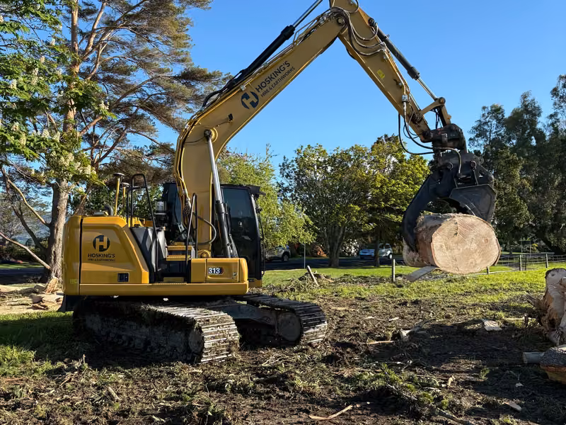 Excavator lifting a cut tree trunk during site clearing