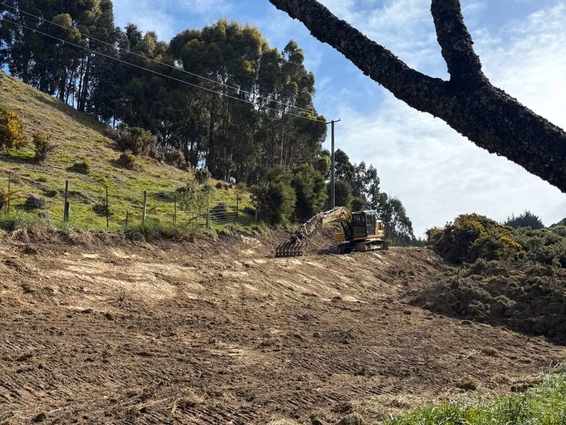 Excavator clearing vegetation on a sloping rural site